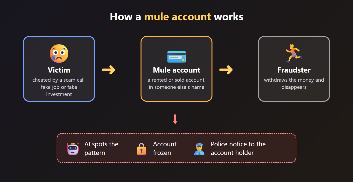 How stolen money moves through mule accounts and how AI flags them